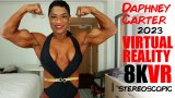 Daphney Carter, Virtual Reality Video (8K)  Virtual Reality Photo Set, virtual reality video, female bodybuilder, female muscle, fbb, vr, muscular woman, Vintage Female Muscle, girls with muscle, FTVideo 8k resolution, old school female bodybuilders