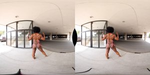 Nathalee Thompson, Virtual Reality Video (8K)  Virtual Reality Photo Set, virtual reality video, female bodybuilder, female muscle, fbb, vr, muscular woman, Vintage Female Muscle, girls with muscle, FTVideo 8k resolution