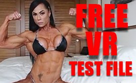 Virtual Reality (VR) Test File: FREE