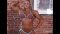 Christine Roth