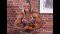 Christine Roth