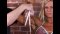 Christine Roth