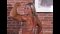 Christine Roth