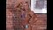 Christine Roth