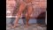 Christine Roth