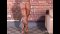 Christine Roth
