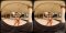Jane Akarapreecha, Virtual Reality Video (8K)  Virtual Reality Photo Set, virtual reality video, female bodybuilder, female muscle, fbb, vr, muscular woman, Vintage Female Muscle, girls with muscle, FTVideo 8k resolution, old school female bodybuilders