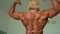 Julia Foery, Virtual Reality Photo Set, virtual reality video, female bodybuilder, female muscle, fbb, vr, muscular woman, Vintage Female Muscle, girls with muscle, FTVideo 8k resolution