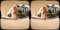 Nikki Bless, Nichole Bless, Virtual Reality Video (8K)  Virtual Reality Photo Set, virtual reality video, female bodybuilder, female muscle, fbb, vr, muscular woman, Vintage Female Muscle, FTVideo 8k resolution, old school female bodybuilders